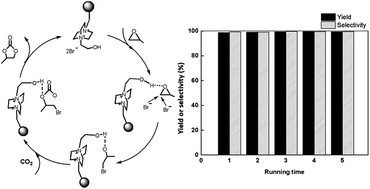 Graphical abstract: Bis-ammonium immobilized polystyrenes with co-catalyzing functional end groups as efficient and reusable heterogeneous catalysts for synthesis of cyclic carbonate from CO2 and epoxides