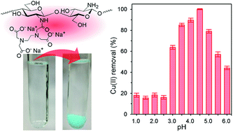 Graphical abstract: Water soluble EDTA-linked chitosan as a zwitterionic flocculant for pH sensitive removal of Cu(ii) ion
