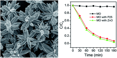 Graphical abstract: Microstructure, growth process and enhanced photocatalytic activity of flower-like ZnO particles