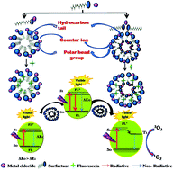 Graphical abstract: Role of manganese-based surfactant towards solubilization and photophysical properties of fluorescein