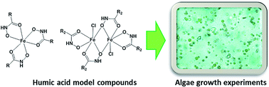 Graphical abstract: Benzoic hydroxamate-based iron complexes as model compounds for humic substances: synthesis, characterization and algal growth experiments