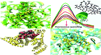 Graphical abstract: Anticancer drug delivery systems based on specific interactions between albumin and polyglycerol