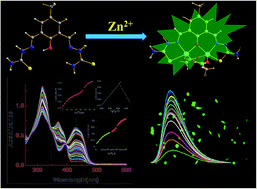 Graphical abstract: A thiosemicarbazone based chemo and fluorogenic sensor for Zn2+ with CHEF and ESIPT behaviour: computational studies and cell imaging application