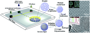 Graphical abstract: Integrated microfluidic device for the spherical hydrogel pH sensor fabrication