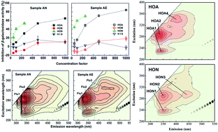 Graphical abstract: Characteristics of estrogenic/antiestrogenic activities during the anoxic/aerobic biotreatment process of simulated textile dyeing wastewater