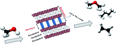 Graphical abstract: Methanol to C2 and C4 fuels over (Nb/Al)-pillared clay catalysts