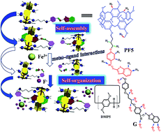 Graphical abstract: Novel functionalized pillar[5]arene: synthesis, assembly and application in sequential fluorescent sensing for Fe3+ and F− in aqueous media