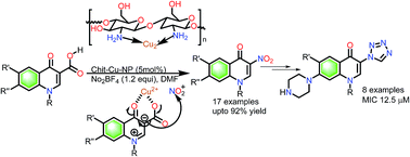 Graphical abstract: An operational transformation of 3-carboxy-4-quinolones into 3-nitro-4-quinolones via ipso-nitration using polysaccharide supported copper nanoparticles: synthesis of 3-tetrazolyl bioisosteres of 3-carboxy-4-quinolones as antibacterial agents