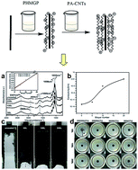 Graphical abstract: Flame-retardant, electrically conductive and antimicrobial multifunctional coating on cotton fabric via layer-by-layer assembly technique