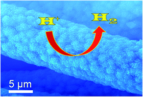 Graphical abstract: 3D flexible hydrogen evolution electrodes with Se-promoted molybdenum sulfide nanosheet arrays