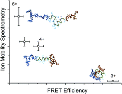 Graphical abstract: Conformational changes in amyloid-beta (12–28) alloforms studied using action-FRET, IMS and molecular dynamics simulations
