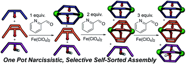 Graphical abstract: High fidelity sorting of remarkably similar components via metal-mediated assembly
