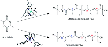 Graphical abstract: Metal influence on the iso- and hetero-selectivity of complexes of bipyrrolidine derived salan ligands for the polymerisation of rac-lactide