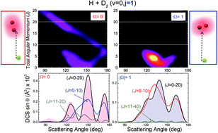 Graphical abstract: Effects of reagent rotation on interferences in the product angular distributions of chemical reactions