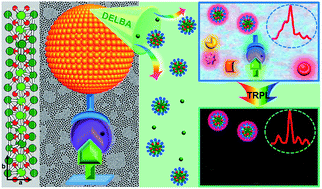 Graphical abstract: Sub-5 nm lanthanide-doped lutetium oxyfluoride nanoprobes for ultrasensitive detection of prostate specific antigen