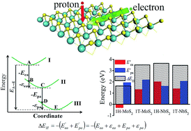 Graphical abstract: Origin of hydrogen evolution activity on MS2 (M = Mo or Nb) monolayers