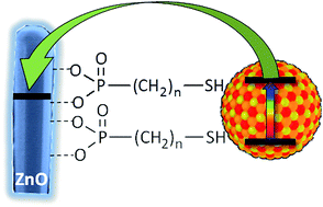 Graphical abstract: Mercaptophosphonic acids as efficient linkers in quantum dot sensitized solar cells