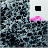Graphical abstract: Ultra-light and elastic graphene foams with a hierarchical structure and a high oil absorption capacity