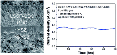 Graphical abstract: Highly efficient, coking-resistant SOFCs for energy conversion using biogas fuels