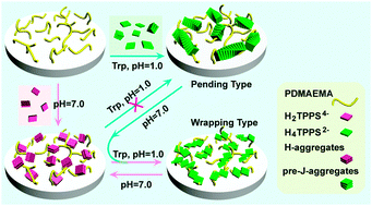 Graphical abstract: Aggregation and supramolecular chirality of 5,10,15,20-tetrakis-(4-sulfonatophenyl)-porphyrin on an achiral poly(2-(dimethylamino)ethyl methylacrylate)-grafted ethylene-vinyl alcohol membrane