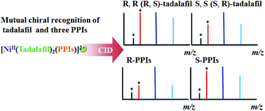 Graphical abstract: Doubly charged trimeric cluster ions: effective in mutual chiral recognition of tadalafil and three proton pump inhibitors