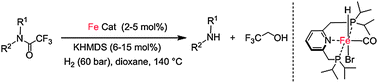 Graphical abstract: Unprecedented iron-catalyzed selective hydrogenation of activated amides to amines and alcohols