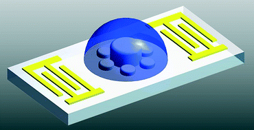 Graphical abstract: Isolation of sodium chloride crystals induced by standing surface acoustic waves (SSAWs) in a drying droplet