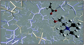 Graphical abstract: A molecular dynamics study of the ionic liquid, choline acetate