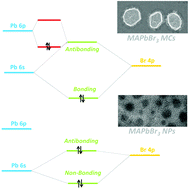 Graphical abstract: Correlating structure and electronic band-edge properties in organolead halide perovskites nanoparticles