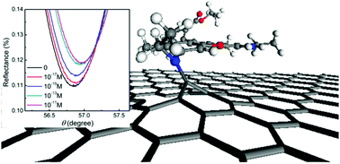 Graphical abstract: Interaction of Rhodamine 6G molecules with graphene: a combined computational–experimental study