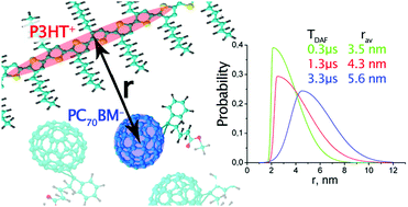 Graphical abstract: Light-induced charge separation in a P3HT/PC70BM composite as studied by out-of-phase electron spin echo spectroscopy