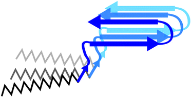 Graphical abstract: N-terminal lipid conjugation of amyloid β(1–40) leads to the formation of highly ordered N-terminally extended fibrils