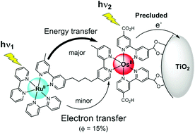 Graphical abstract: Tris-bipyridine based dinuclear ruthenium(ii)–osmium(iii) complex dyads grafted onto TiO2 nanoparticles for mimicking the artificial photosynthetic Z-scheme