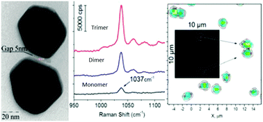 Graphical abstract: Nanoparticle–nanoparticle vs. nanoparticle–substrate hot spot contributions to the SERS signal: studying Raman labelled monomers, dimers and trimers