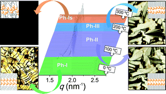Graphical abstract: Crystalline structure and thermotropic behavior of alkyltrimethylphosphonium amphiphiles