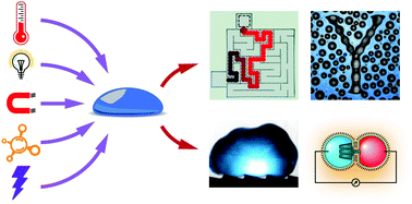 Graphical abstract: Tactic, reactive, and functional droplets outside of equilibrium