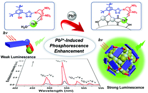 Graphical abstract: A “turn-on” lanthanide complex chemosensor for recognition of lead(ii) based on the formation of nanoparticles