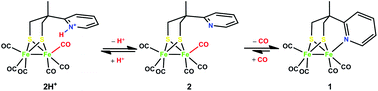 Graphical abstract: Enhancement in catalytic proton reduction by an internal base in a diiron pentacarbonyl complex: its synthesis, characterisation, inter-conversion and electrochemical investigation