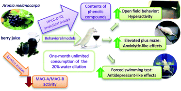 Graphical abstract: Reduction of anxiety-like and depression-like behaviors in rats after one month of drinking Aronia melanocarpa berry juice