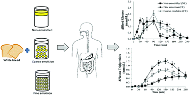 Graphical abstract: Lipid droplet size and emulsification on postprandial glycemia, insulinemia and lipidemia