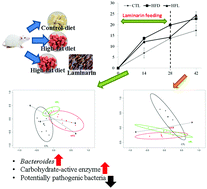 Graphical abstract: Laminarin favorably modulates gut microbiota in mice fed a high-fat diet