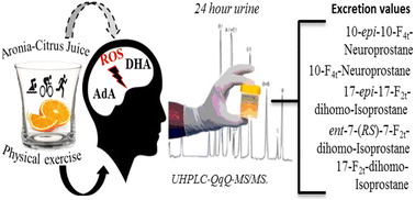 Graphical abstract: Lipidomic approach in young adult triathletes: effect of supplementation with a polyphenols-rich juice on neuroprostane and F2-dihomo-isoprostane markers
