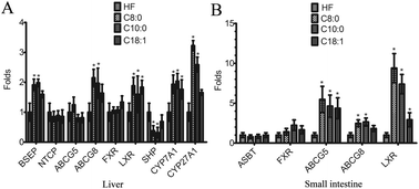 Graphical abstract: Medium-chain fatty acids reduce serum cholesterol by regulating the metabolism of bile acid in C57BL/6J mice