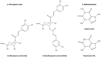 Graphical abstract: The colonic metabolites dihydrocaffeic acid and dihydroferulic acid are more effective inhibitors of in vitro platelet activation than their phenolic precursors