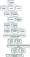 Graphical abstract: The impact of dark chocolate intake on arterial elasticity in individuals with HIV/AIDS undergoing ART: a randomized, double-blind, crossover trial