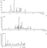 Graphical abstract: Contribution of the phenolic composition to the antioxidant, anti-inflammatory and antitumor potential of Equisetum giganteum L. and Tilia platyphyllos Scop.