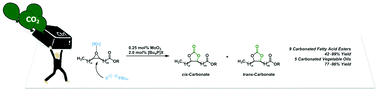 Graphical abstract: Cooperative catalyst system for the synthesis of oleochemical cyclic carbonates from CO2 and renewables