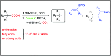 Graphical abstract: Metal-free, visible-light-mediated, decarboxylative alkylation of biomass-derived compounds