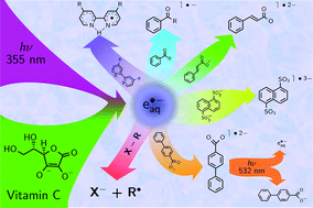 Graphical abstract: Sustainable, inexpensive and easy-to-use access to the super-reductant e˙−aq through 355 nm photoionization of the ascorbate dianion—an alternative to radiolysis or UV-C photochemistry