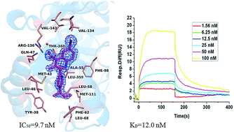 Graphical abstract: Biological evaluation of quinoline derivatives as inhibitors of human dihydroorotate dehydrogenase